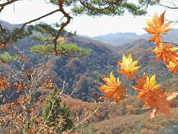 山西高速事故实时报道更新