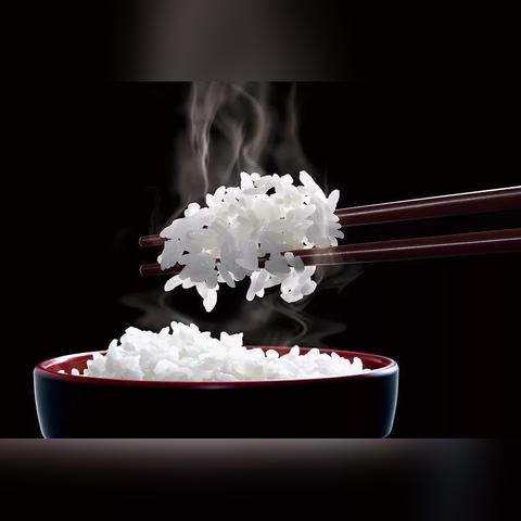 全球美食新潮涌动，，，，，，最新饮食趋势剖析