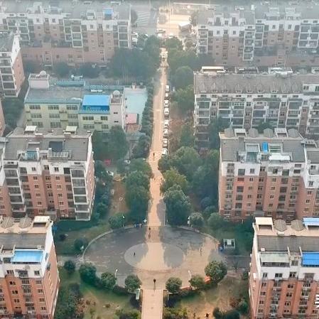 揭秘，，，，，，最新太子报彩图及数据趋势深度剖析