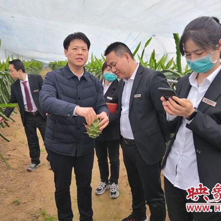 通许县新妄想蓝图，，，，，，未来昌盛展望