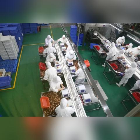 中外洋贸最新政策深度解读