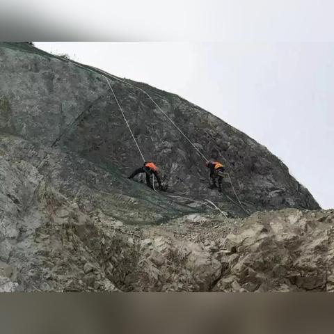 蒙草生态诊断报告深度剖析