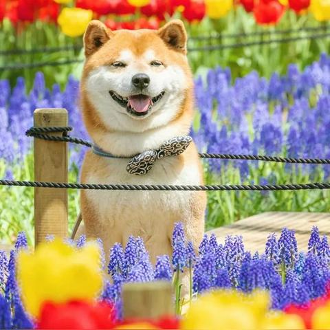 花山河项目最新希望动态