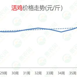 葡萄价钱行情最新走势剖析