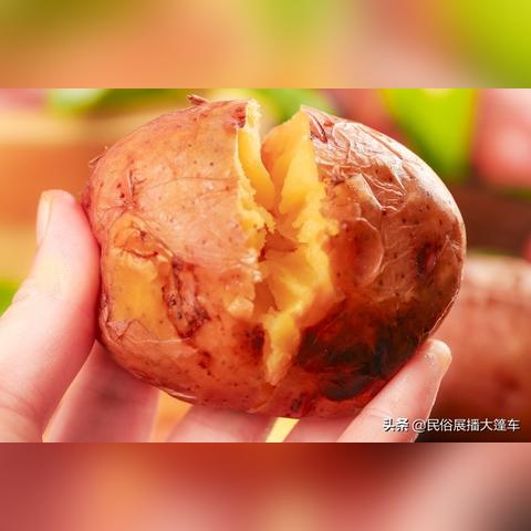 最新土豆价钱行情