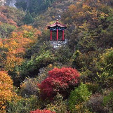 济南南部山区最新动态