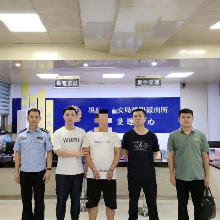 定远最新招聘信息剖析