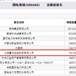 重阳投资持股最新明细