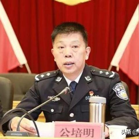 商洛人事任免动态更新