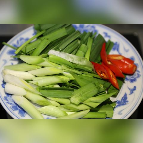白厂丝最新价钱