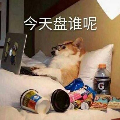 最新诙谐短信笑话集锦