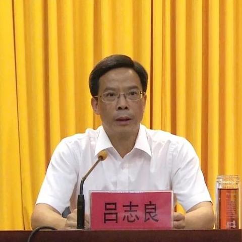 天台最新人事任免通告宣布