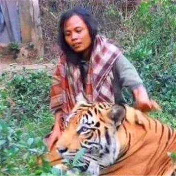 老虎咬人事务最新希望视频剖析