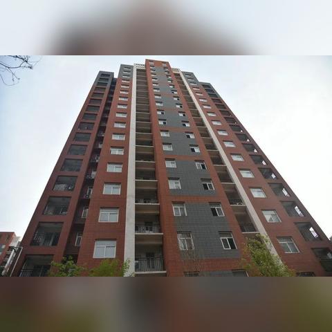 濮阳黄河滩区搬家更新动态
