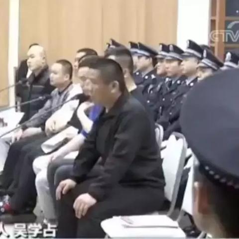辱母案最新希望深度剖析