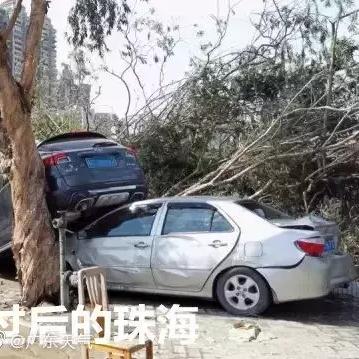 热带风暴天鸽最新动态深度剖析