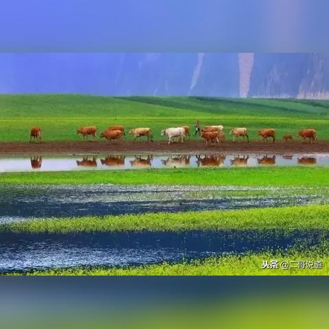 清水县王马代新动向揭秘，，，，走向昌盛新篇章