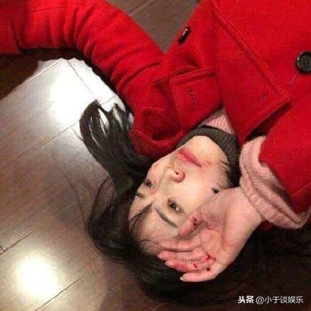 海内最新重大新闻事务深度解读