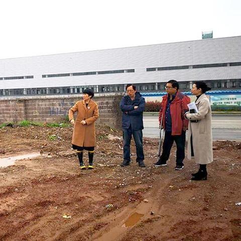 金东区多湖最新动态更新