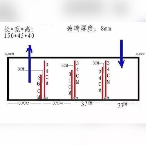 最新鱼缸底滤设计图剖析