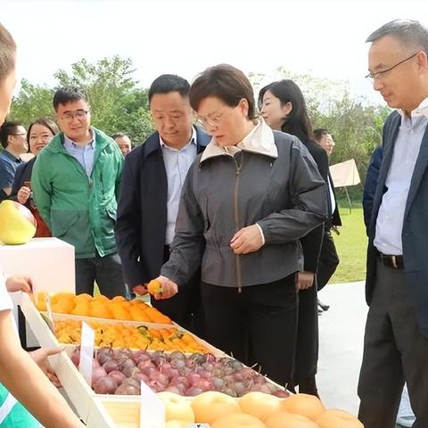 中江中凯一号房价走势剖析