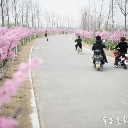 济南北跨最新动态深度剖析