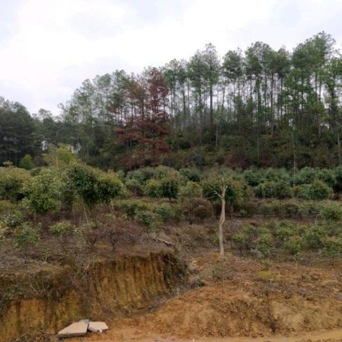 景德镇店肆出租最新资讯