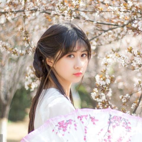 绝色医妃六月最新章节剧情剖析与读者评价