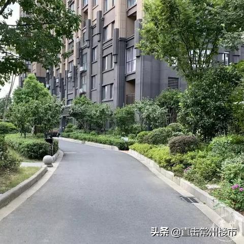手艺效劳 第13页