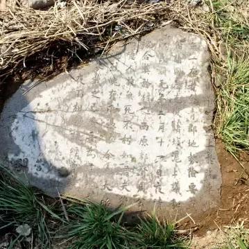 临淄新闻热门，，，，，九人事务深度报道更新