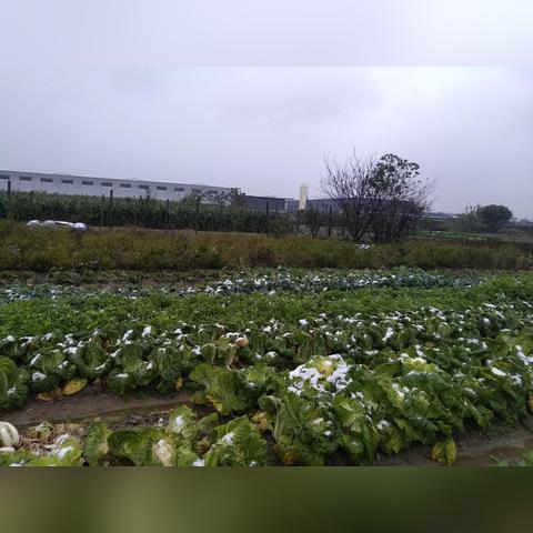 慈溪周巷二手房市场最新剖析